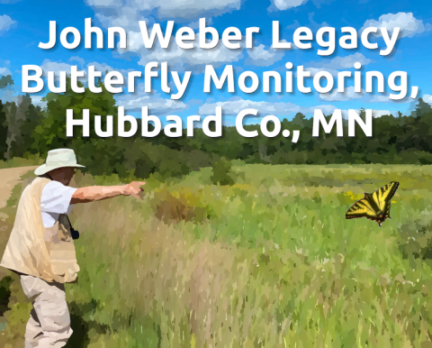 John Weber Legacy Butterfly Monitoring